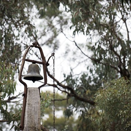 Click here to learn more about Vision